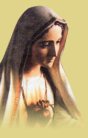 The Immaculate Heart of Mary