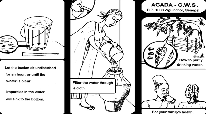 How To Purify With Moringa Seeds 2