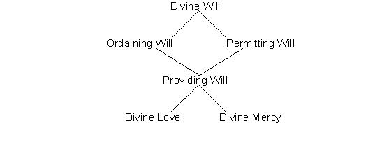 Holy Love Chart - The Divine Will